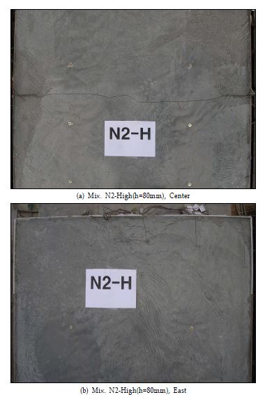 Mix. N2의 중앙부 및 단부 균열 상세