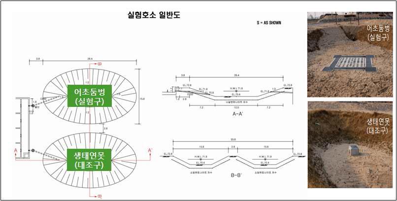 하상형 다기능 둠벙 평가실험