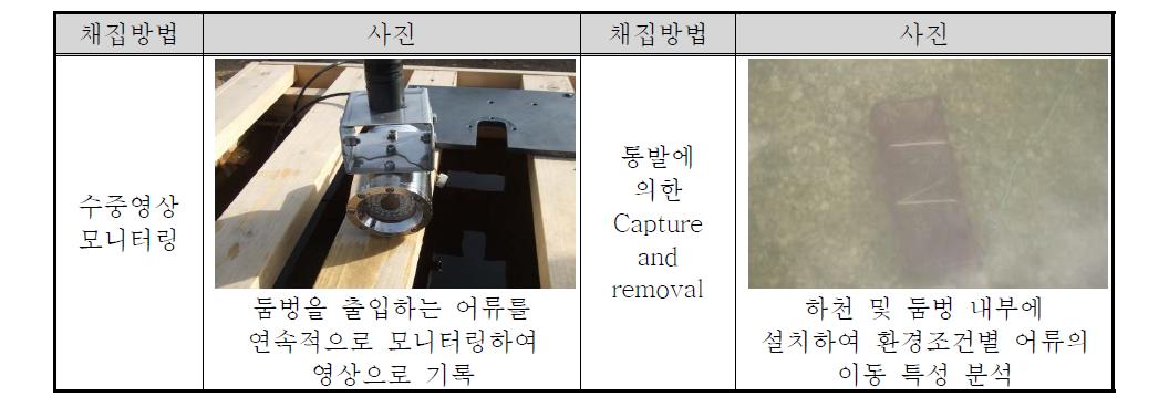 평수기 야간에 활용된 모니터링 방법