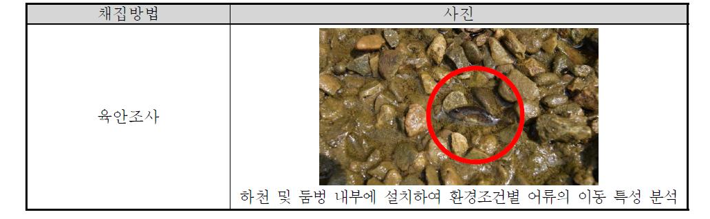 갈수기에 측정된 모니터링 방법