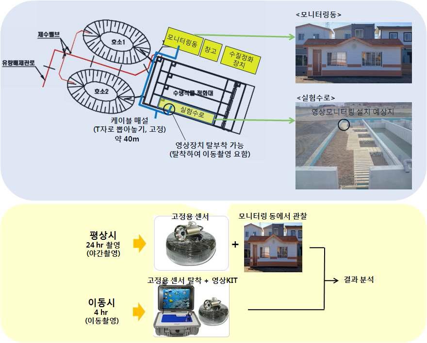 수중 영상 모니터링 배치도