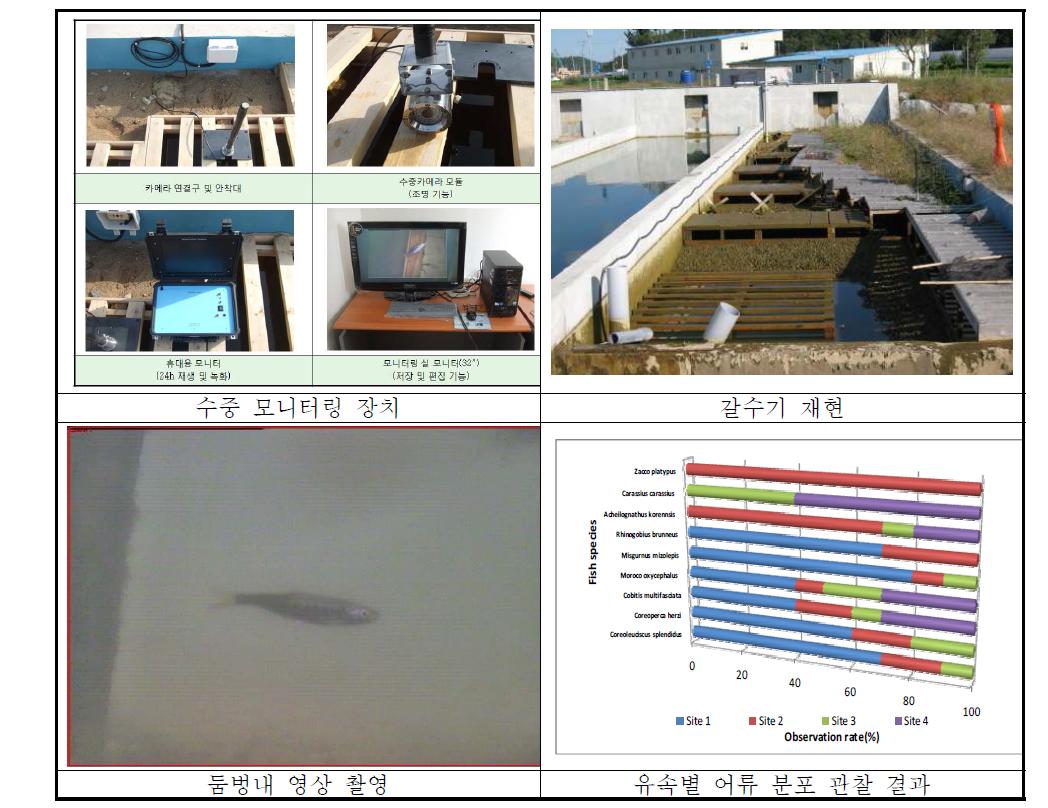 수중영상 모니터링 설치 및 촬영