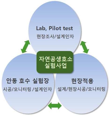 연구 추진 체계도