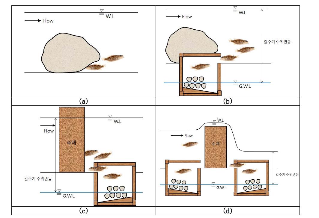 여울·수제형 둠벙의 개념도. (a)일반하천에서의 어류 습성, (b)여울에서 둠벙 배치 사례, (c)수제에서 둠벙 배치 사례, (d)수제에서 둠벙 배치 사례