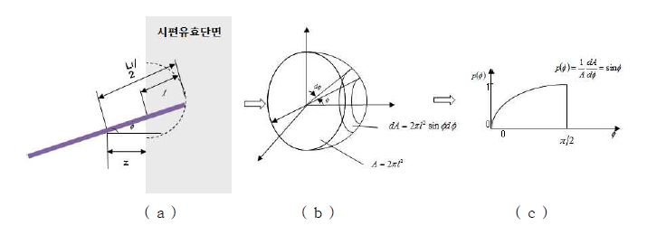 유효단면내 섬유혼입깊이와 방향성 확률분포