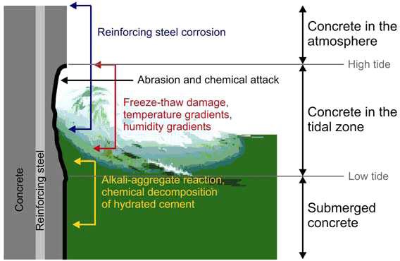 그림 11 해수에 노출된 콘크리트의 위치별 성능저하 메커니즘