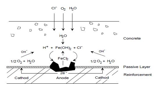 그림 12 콘크리트 중의 철근부식 메커니즘