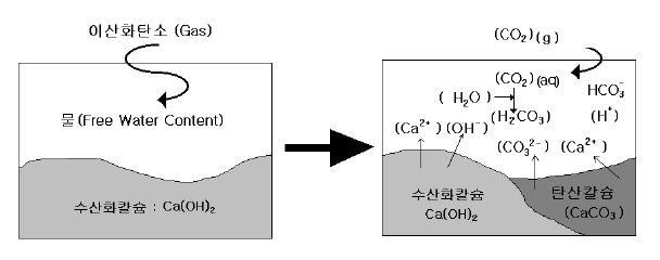 그림 14 화학조성 변화에 따른 탄산화 개요도