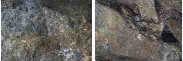 그림 4.2.4 흑운모 편마암 1(좌)과 흑운모 편마암 2(우) 샘플