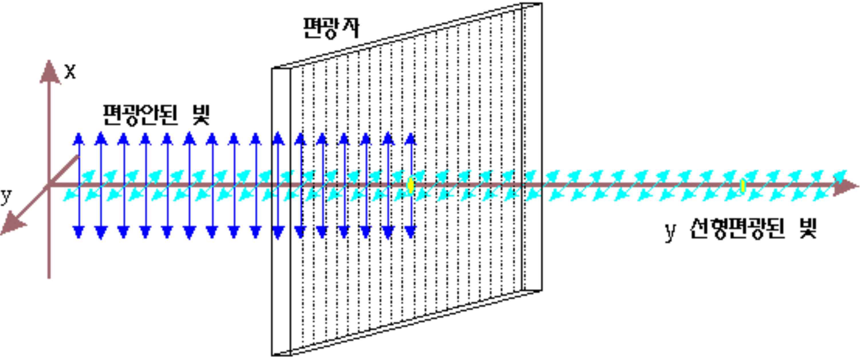 수직 편광 필터