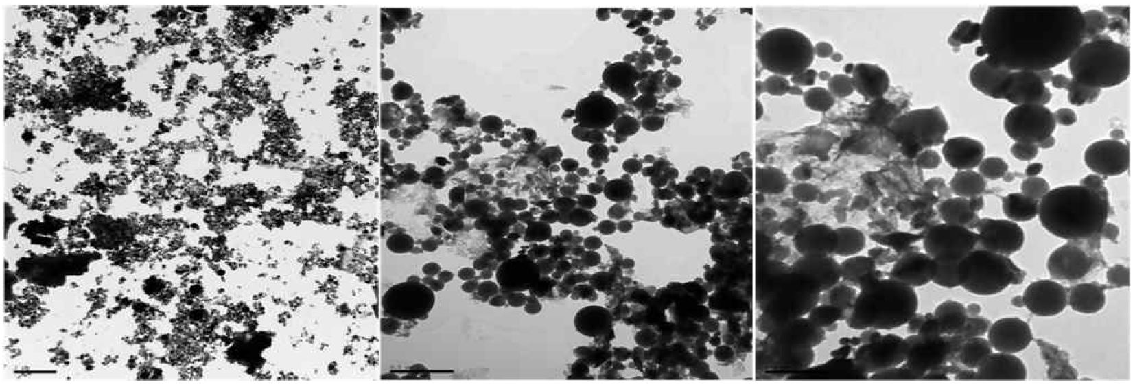 Photo of fly ash A by transmission electron microscopy.