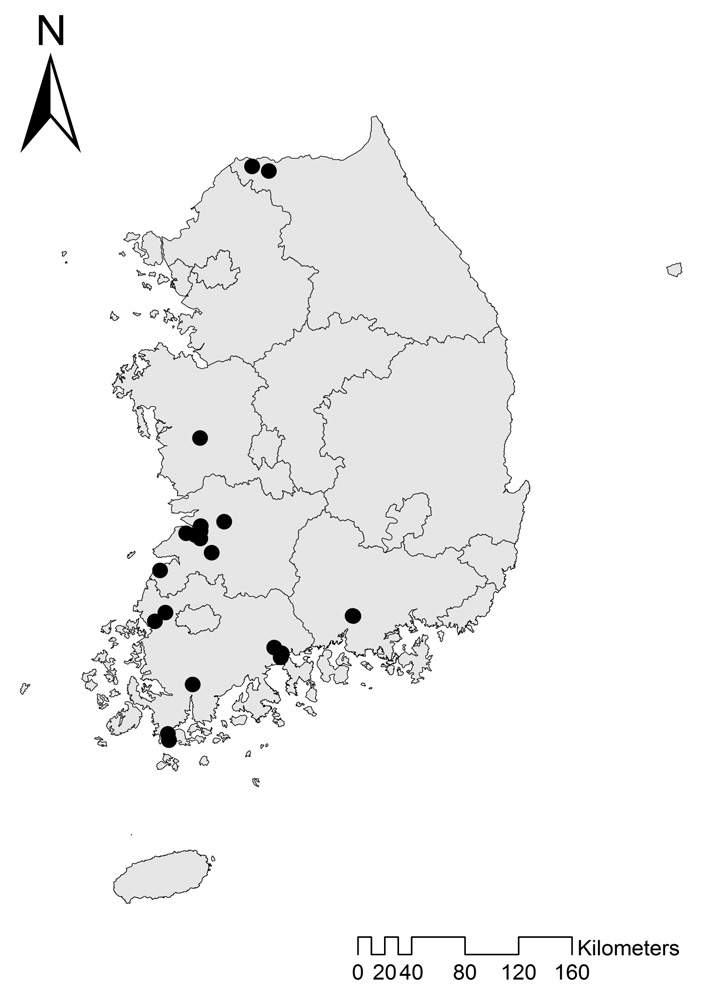 양미역취 전국분포도