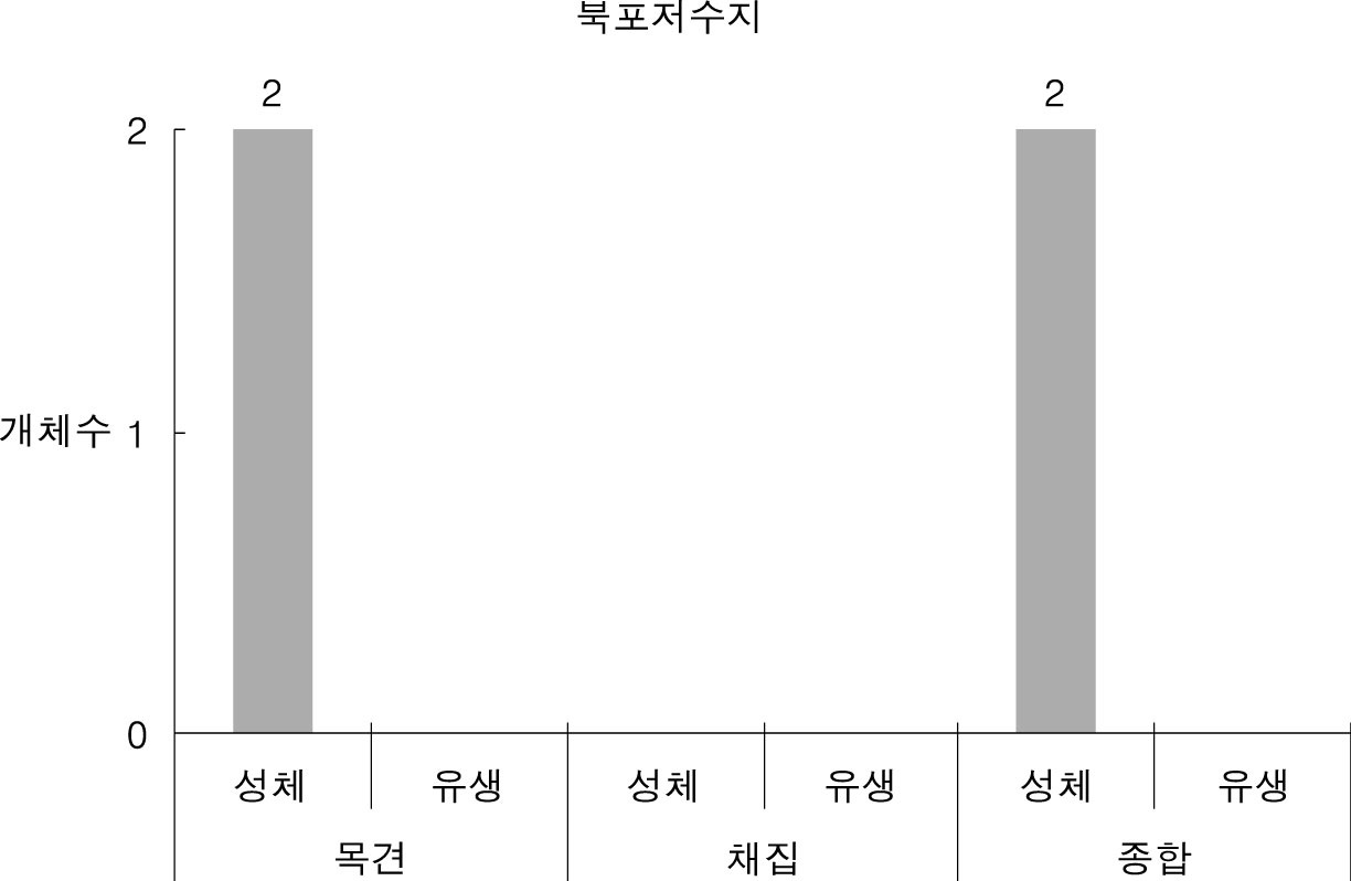 하의도에서 조사된 황소개구리 개체수