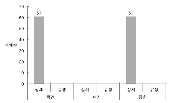 주남저수지에서 조사된 황소개구리 개체수