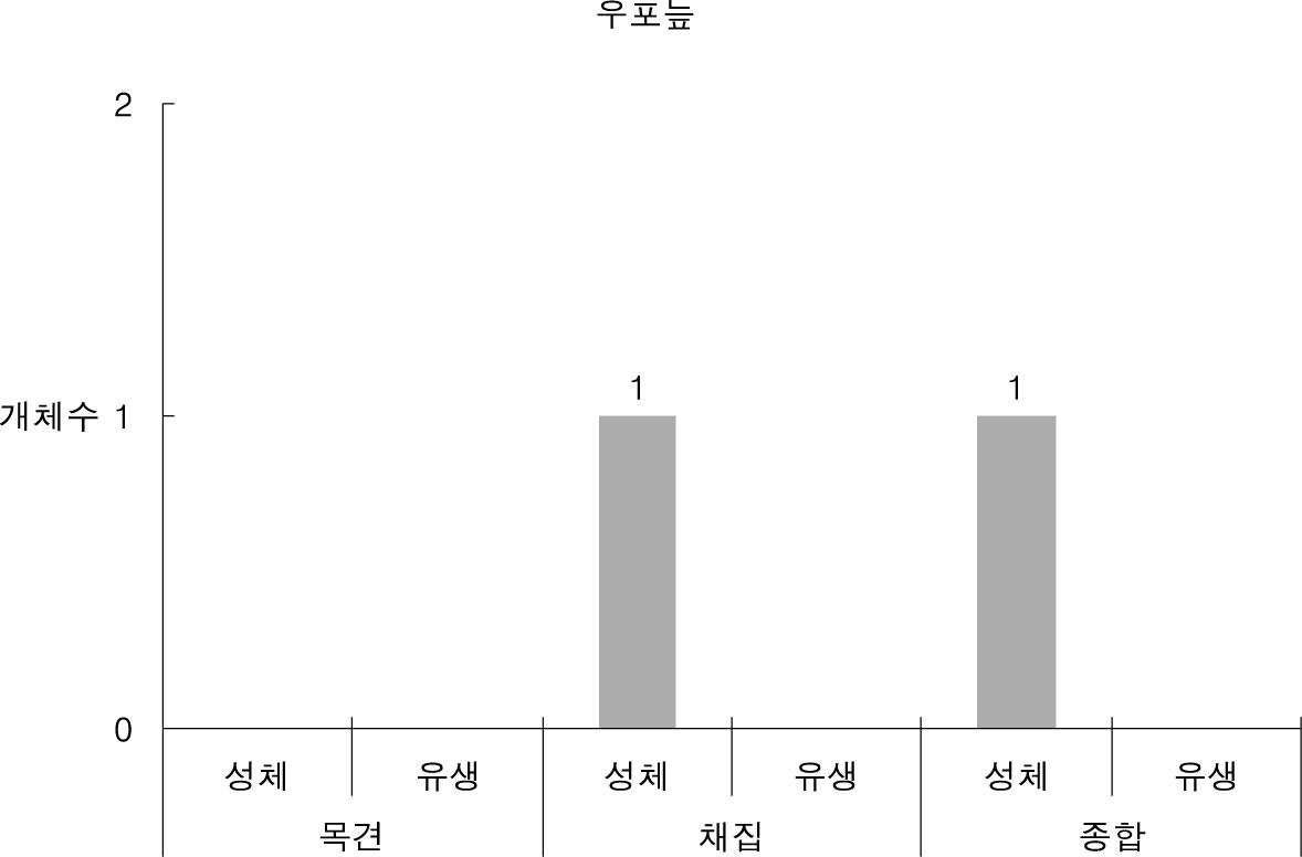 우포늪에서 조사된 황소개구리 개체수