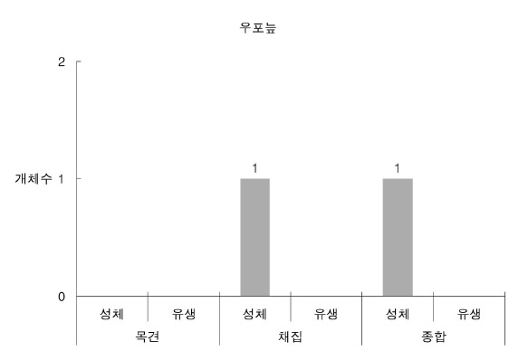 무심천에서 조사된 황소개구리 개체수