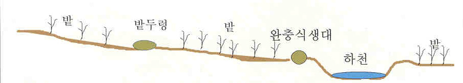 그림 5-18. 완충식생대 및 식생밭두렁 설치 예시