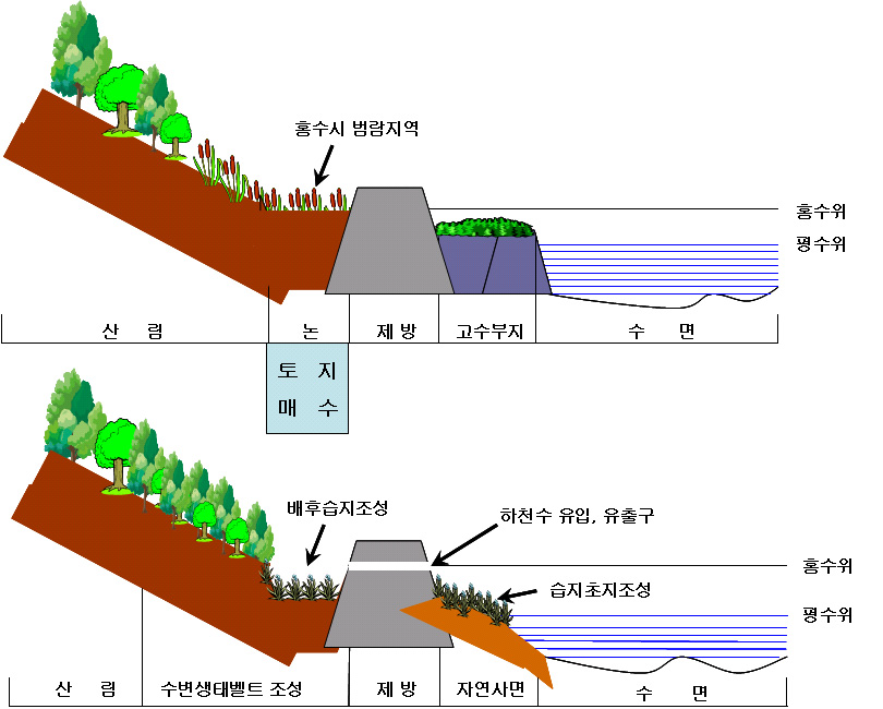 그림 5-25. 하천배후습지 조성 모형도