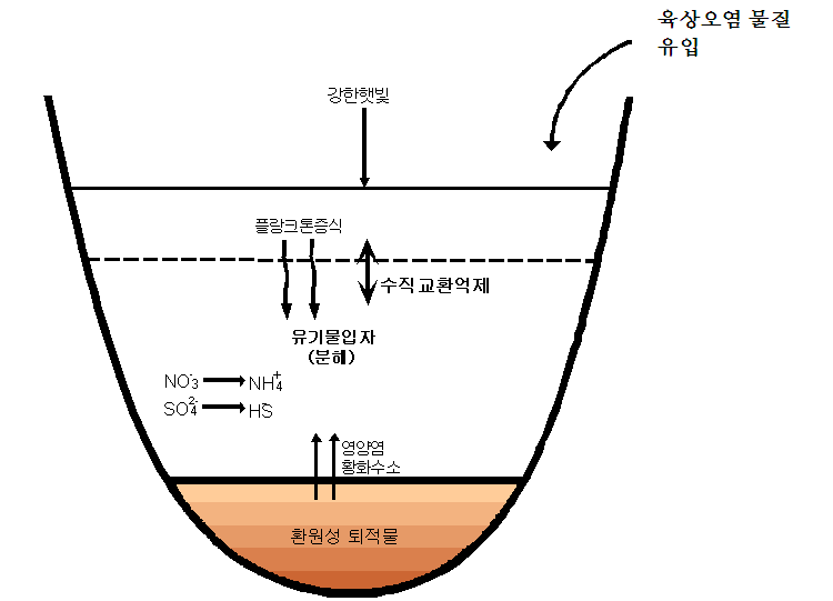 그림 2-11. 저층의 빈산소층 형성과 오염물질의 유출 모식도