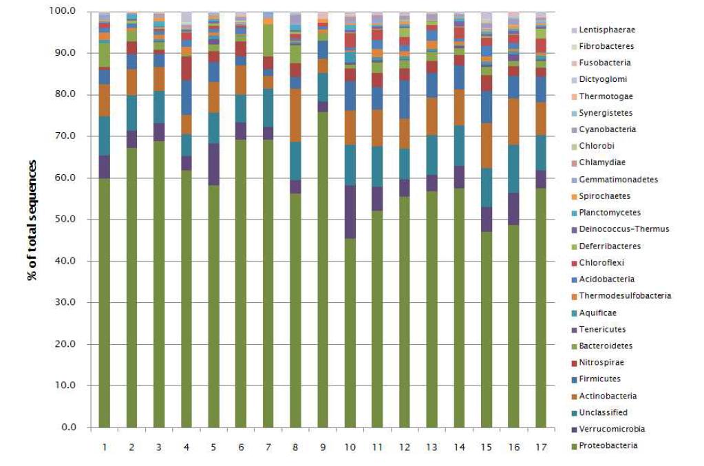 Phylogenetic classification of each samples at phylum level