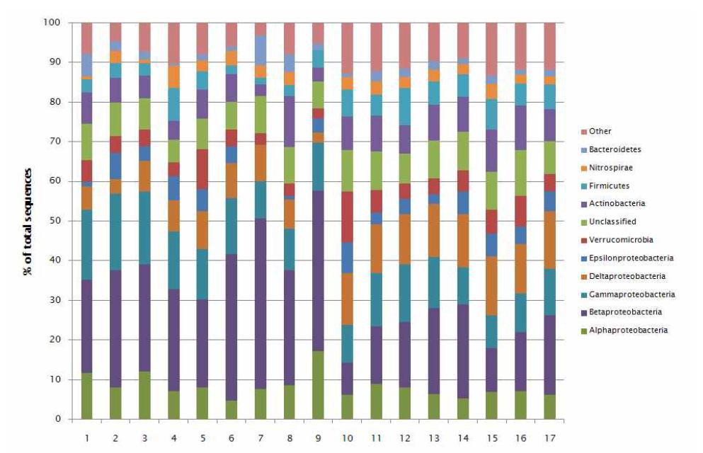 Phylogenetic classification of each samples at phylum level (> 2%)