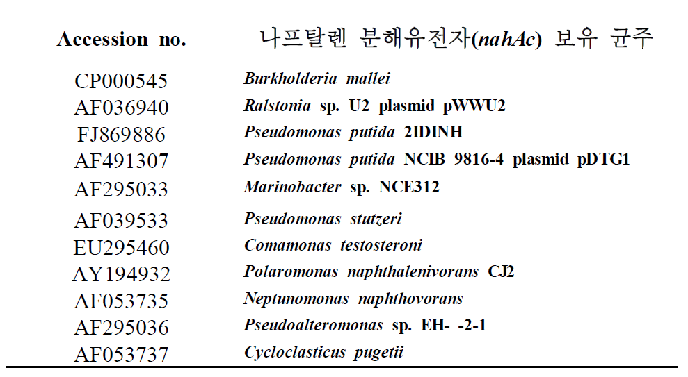 나프탈렌 분해 유전자(nahAc)와 유전자를 보유한 균주