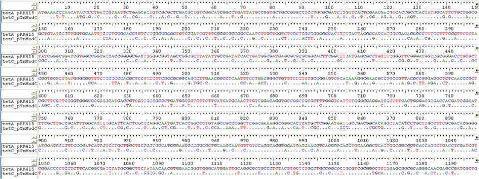 Alignment of target gene sequence