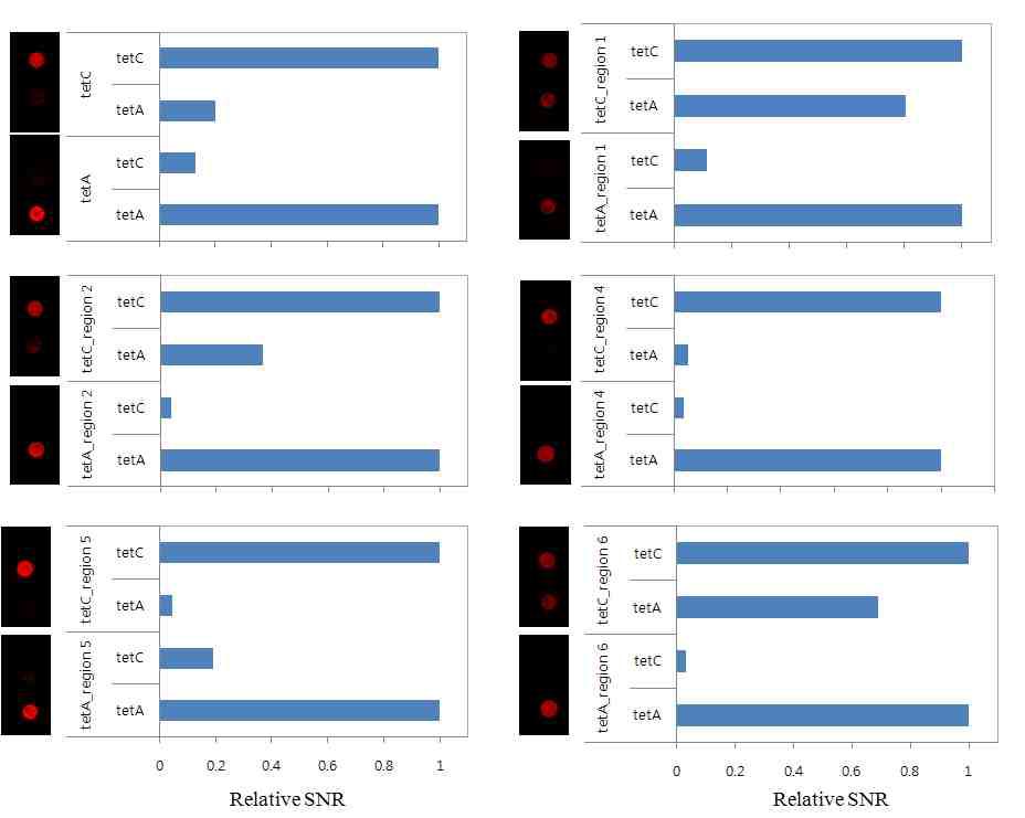 Microarray scanning 및 SNR (signal-to-noise ratio)