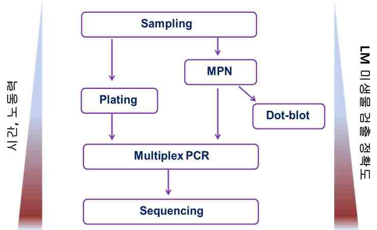 환경 정화용 LM 미생물 검출 기법 최적화 모식도