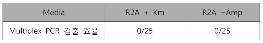 슬러지 시료 내의 발색(lacZ) LM 미생물 검출을 위한 Plating-Multiplex PCR 결과