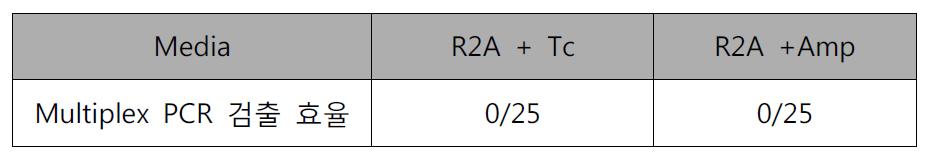 슬러지 시료 내의 발색(lacZ) LM 미생물 검출을 위한 Plating-Multiplex PCR 결과