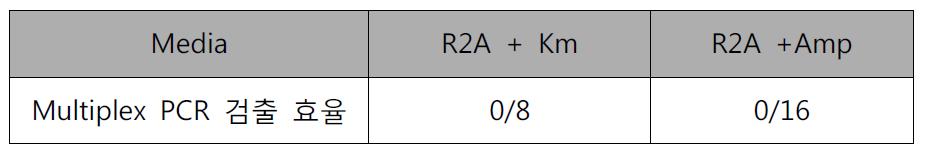 슬러지 시료 내의 발색(lacZ) LM 미생물 검출을 위한 MPN-Multiplex PCR 결과