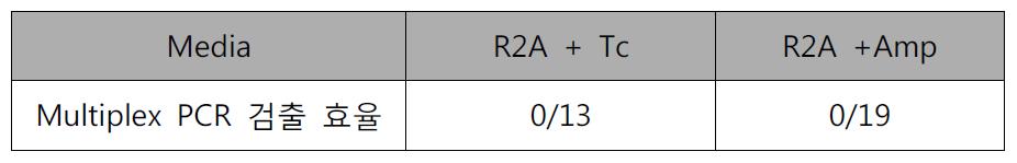 슬러지 시료 내의 발광(gfp) LM 미생물 검출을 위한 MPN-Multiplex PCR 결과