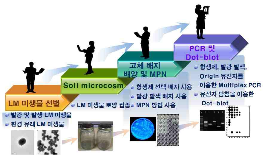 LM 미생물 검출 기법 최적화 연구 흐름도