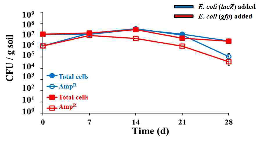 E. coli LM 미생물의 Plating 실험 결과