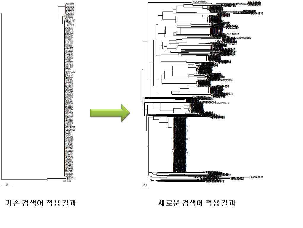 확장된 검색어를 통한 ampicillin저항성 유전자 그룹의 변화