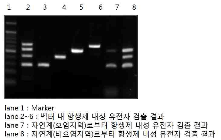 환경시료에서의 항생제 저항성 유전자 검출