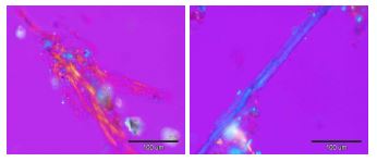 PLM images: Chrysotile asbestos fiber observed in sulfuric acid-digested waste slates at 100oC low-temperature for 24 hours