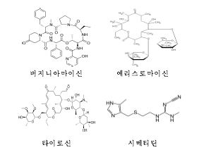 Group II 의약물질의 화학 구조