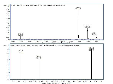 설파티아졸-adduct와 m/z 256의 질량스펙트럼