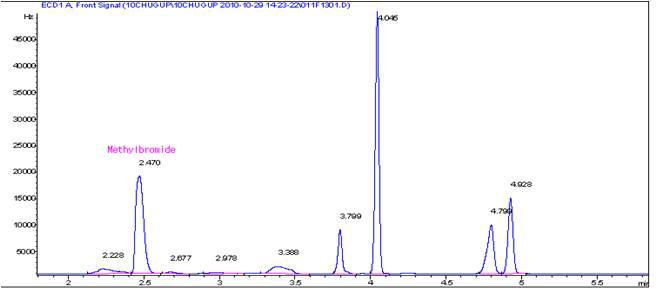 브롬화메틸의 크로마토그램