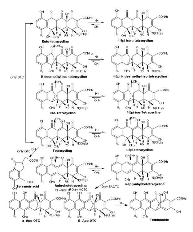 그림 139 Tetracycline의 분해경로