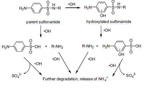그림 140. 고도산화 공정에 의한 sulfonamide의 분해.