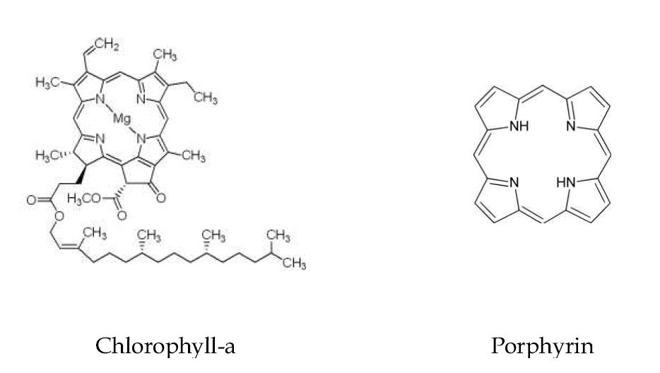 Molecular structure of chlorophyll-a and porphyrin.
