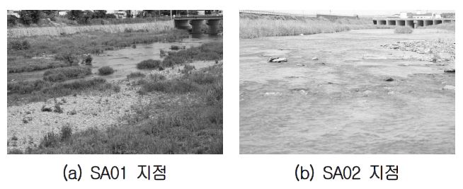 사천강의 어류 조사지점