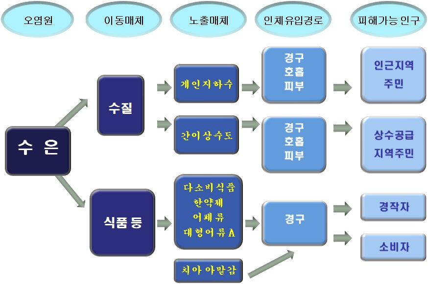 그림 1-6. 수은 인체 유입경로 모형