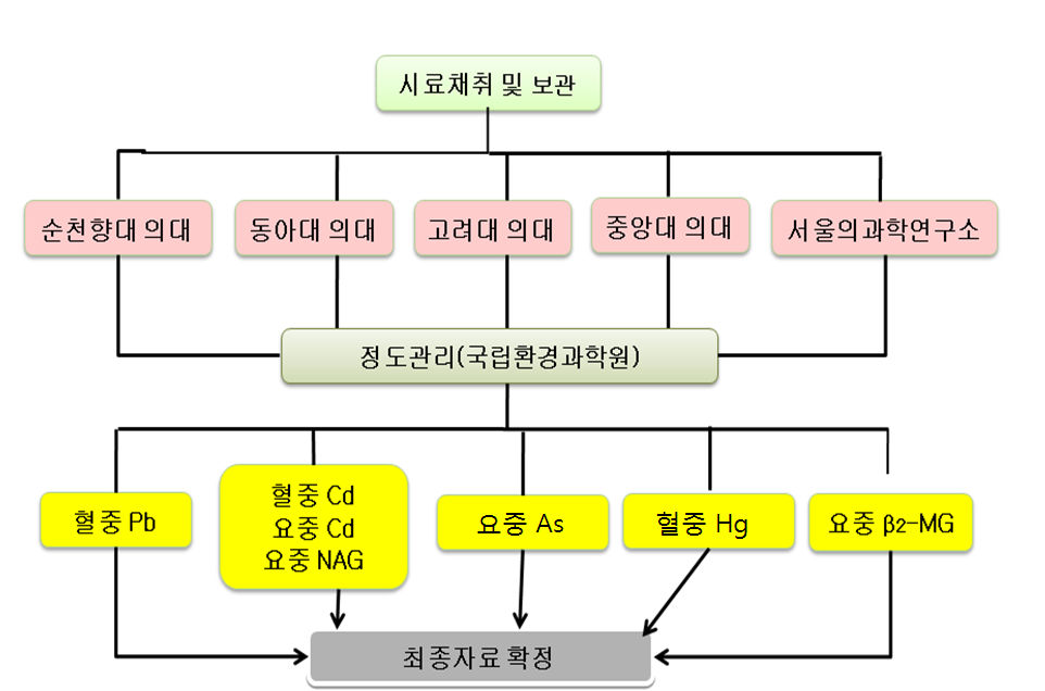 그림 3-5. 중금속 및 신장손상지표 측정