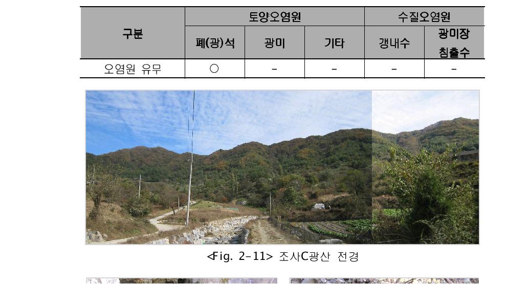 조사C광산 오염원 종합