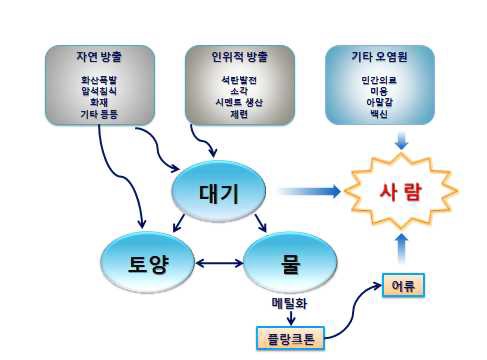 그림 1-1 수은 오염 노출요인과 체내 축적과정 개괄도