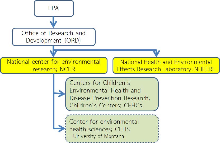 그림 19 EPA 산하 국립환경연구관련 조직체계도